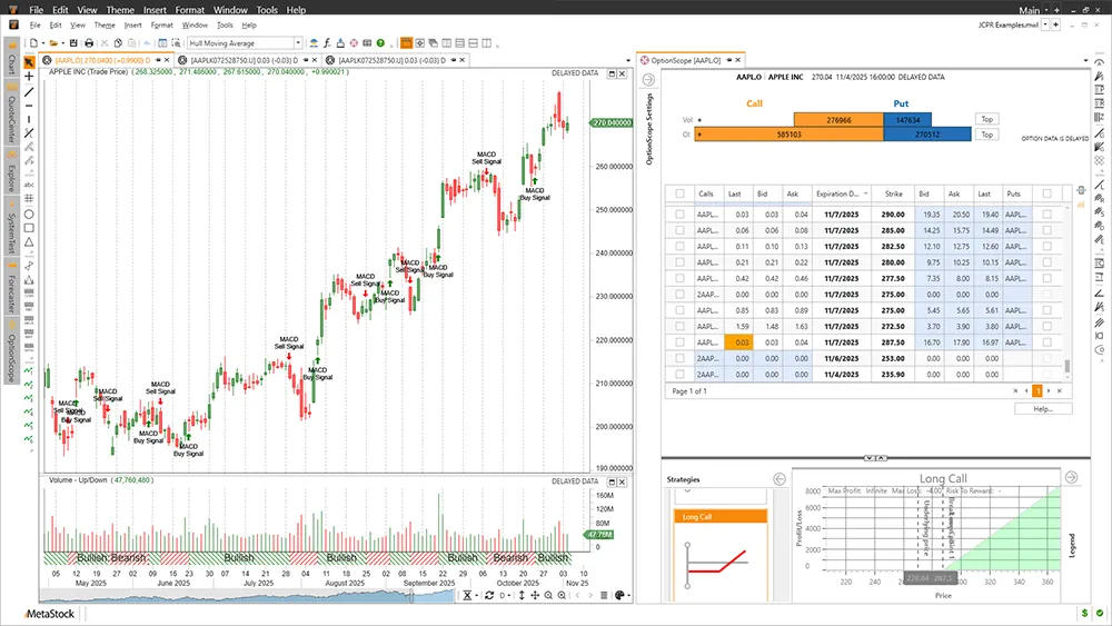 Metastock Optionscope